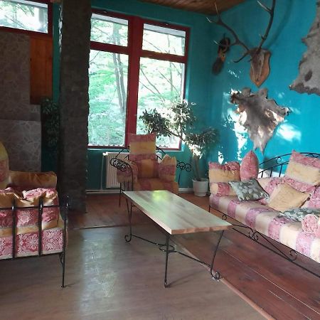 Barlogul Ursilor Lepsa Hotel Ngoại thất bức ảnh
