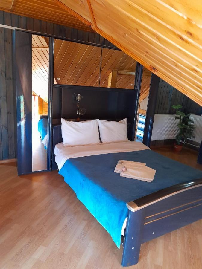 Barlogul Ursilor Lepsa Hotel Ngoại thất bức ảnh