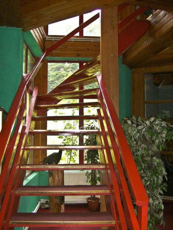 Barlogul Ursilor Lepsa Hotel Ngoại thất bức ảnh