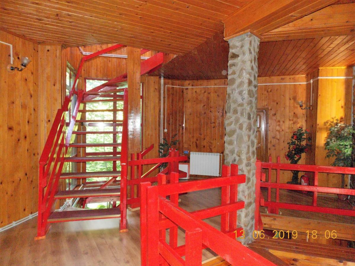 Barlogul Ursilor Lepsa Hotel Ngoại thất bức ảnh